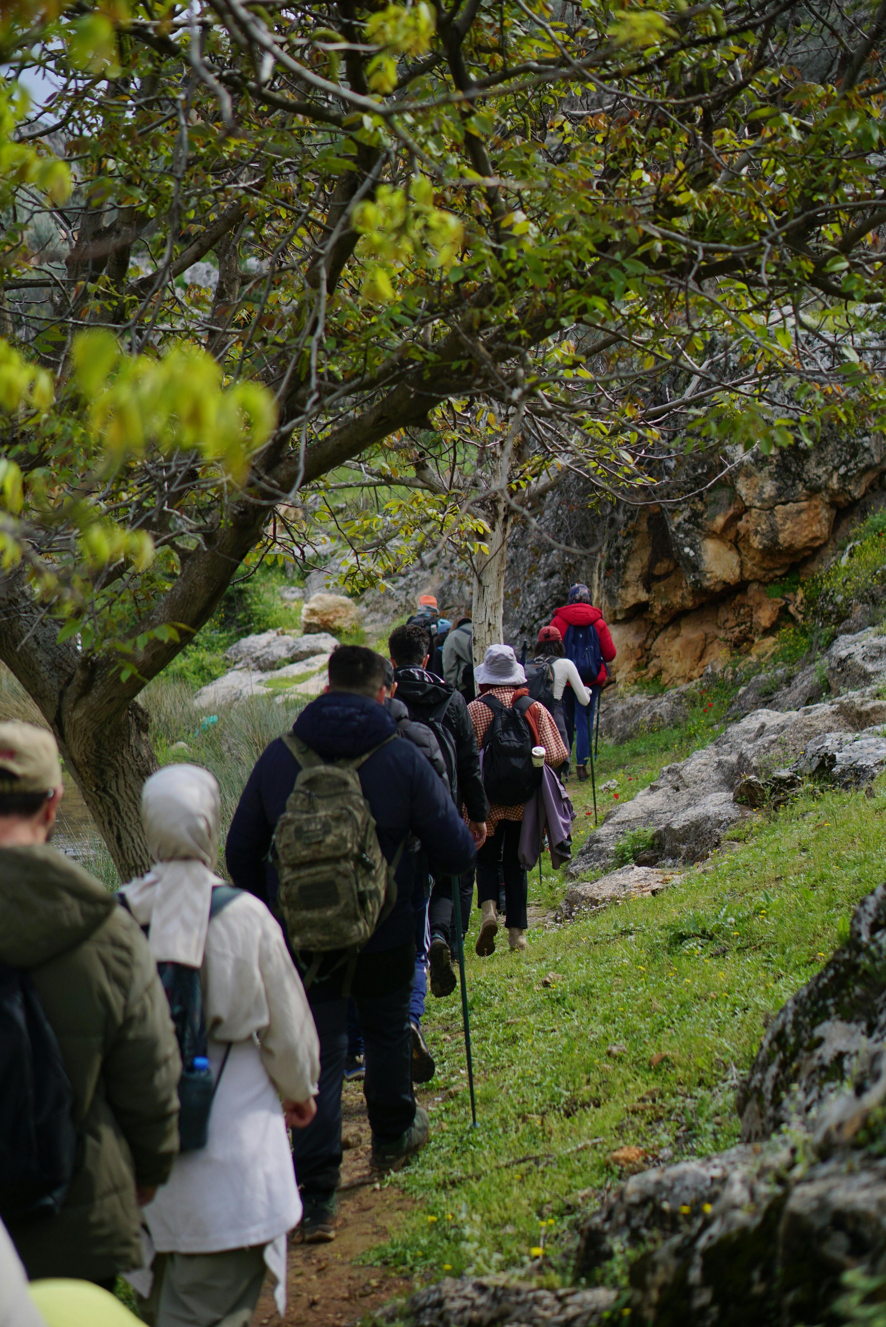 Group hiking in nature